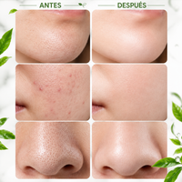 Clara Maison Green Purify Stick - Purificá tu piel. Revelá tu brillo natural